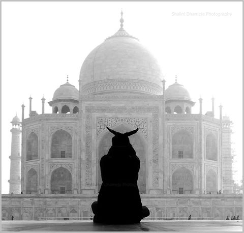 TajMahal2